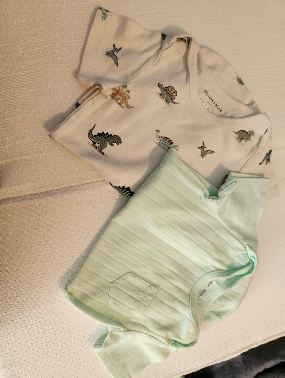 Baby Two-Pack Bodysuit Set with Dino Print and Mint Stripe